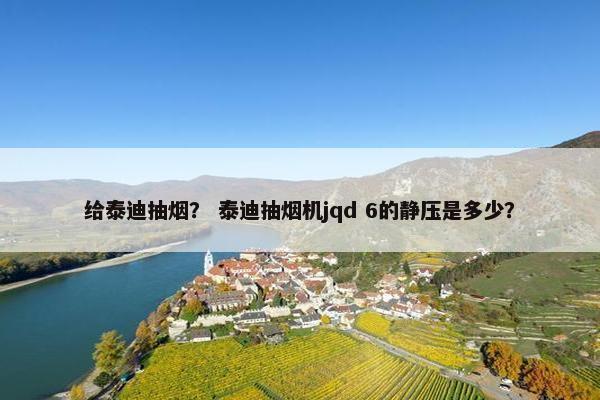 给泰迪抽烟？ 泰迪抽烟机jqd 6的静压是多少？