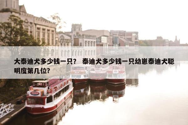 大泰迪犬多少钱一只？ 泰迪犬多少钱一只幼崽泰迪犬聪明度第几位？