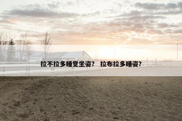 拉不拉多睡觉坐姿？ 拉布拉多睡姿？