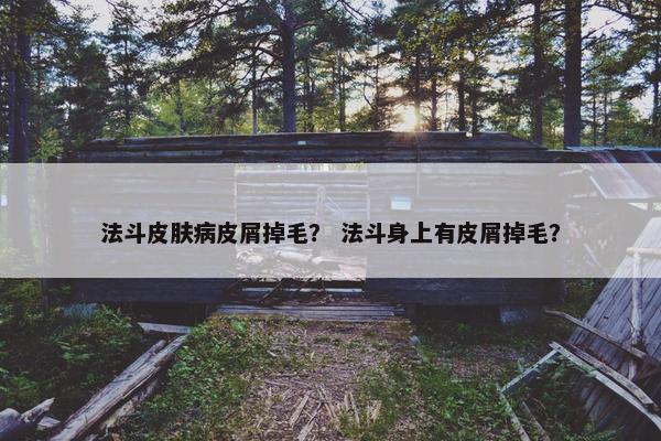 法斗皮肤病皮屑掉毛？ 法斗身上有皮屑掉毛？