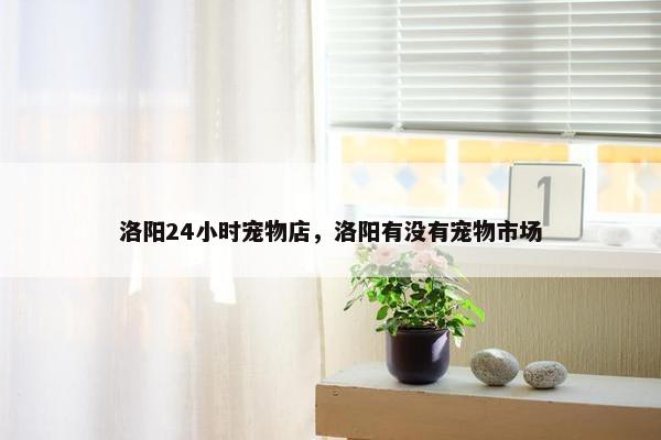 洛阳24小时宠物店，洛阳有没有宠物市场