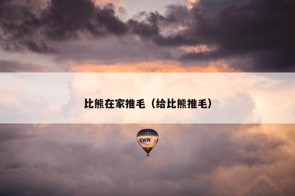 比熊在家推毛（给比熊推毛）