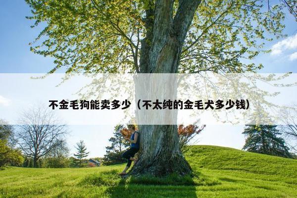 不金毛狗能卖多少（不太纯的金毛犬多少钱）