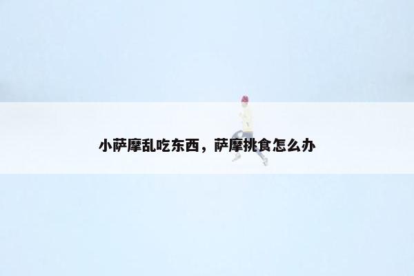 小萨摩乱吃东西，萨摩挑食怎么办