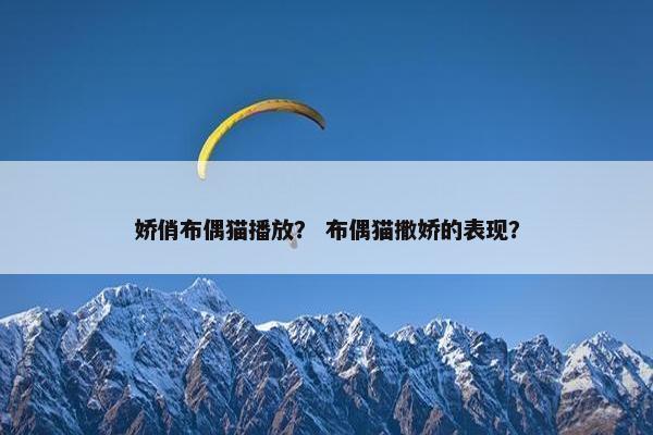 娇俏布偶猫播放？ 布偶猫撒娇的表现？