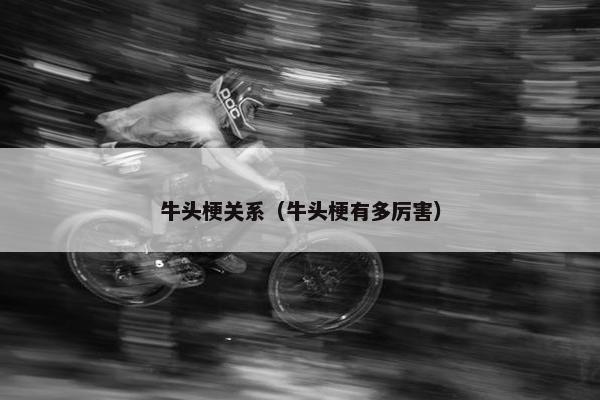 牛头梗关系（牛头梗有多厉害）