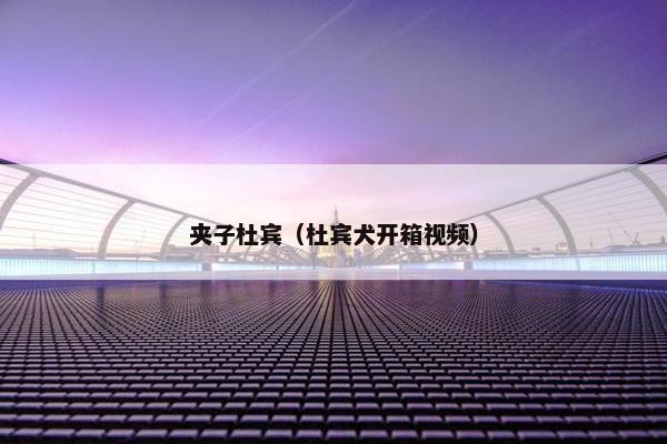 夹子杜宾（杜宾犬开箱视频）
