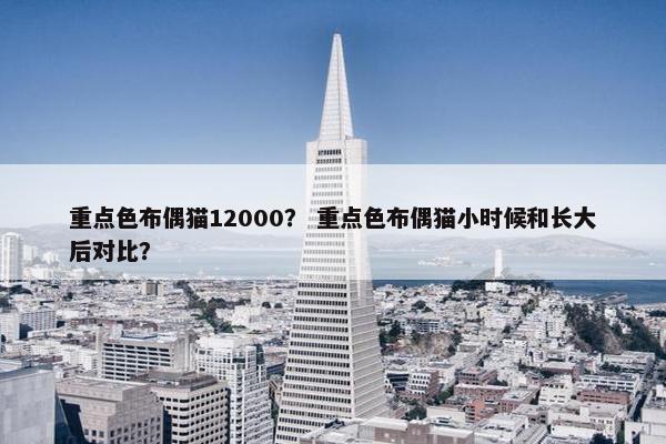 重点色布偶猫12000？ 重点色布偶猫小时候和长大后对比？