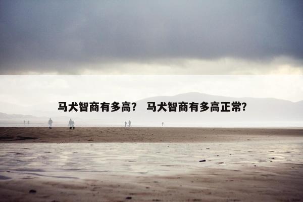 马犬智商有多高？ 马犬智商有多高正常？