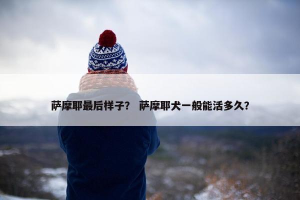 萨摩耶最后样子？ 萨摩耶犬一般能活多久？