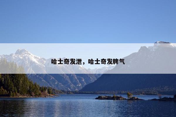 哈士奇发泄，哈士奇发脾气