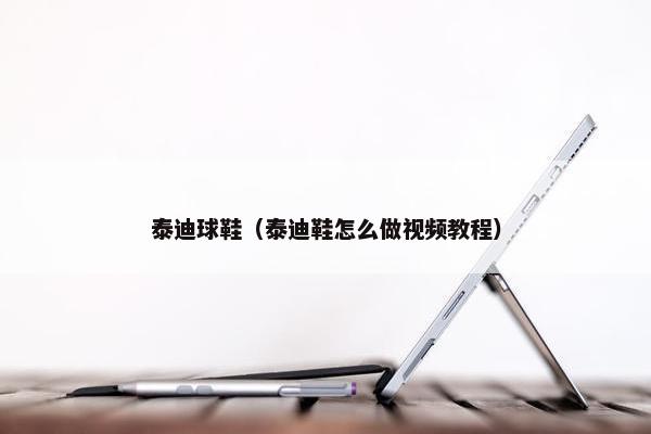 泰迪球鞋（泰迪鞋怎么做视频教程）