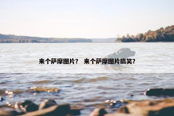 来个萨摩图片？ 来个萨摩图片搞笑？