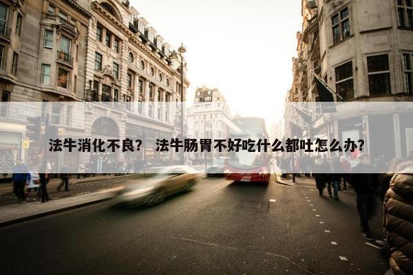 法牛消化不良？ 法牛肠胃不好吃什么都吐怎么办？
