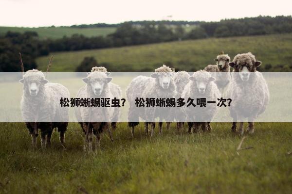 松狮蜥蜴驱虫？ 松狮蜥蜴多久喂一次？