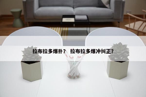 拉布拉多爆扑？ 拉布拉多爆冲纠正？