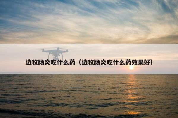 边牧肠炎吃什么药（边牧肠炎吃什么药效果好）