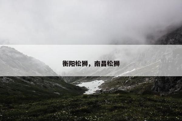 衡阳松狮，南昌松狮