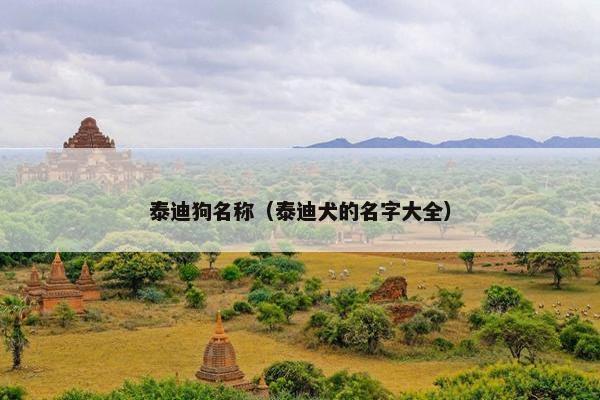 泰迪狗名称（泰迪犬的名字大全）