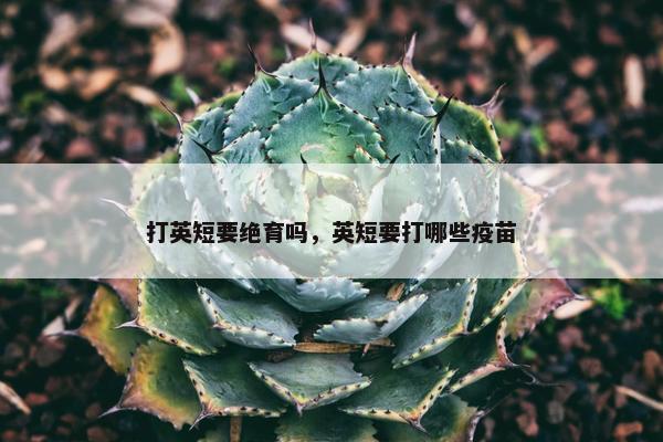 打英短要绝育吗，英短要打哪些疫苗