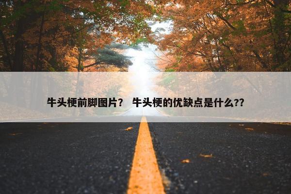 牛头梗前脚图片？ 牛头梗的优缺点是什么?？