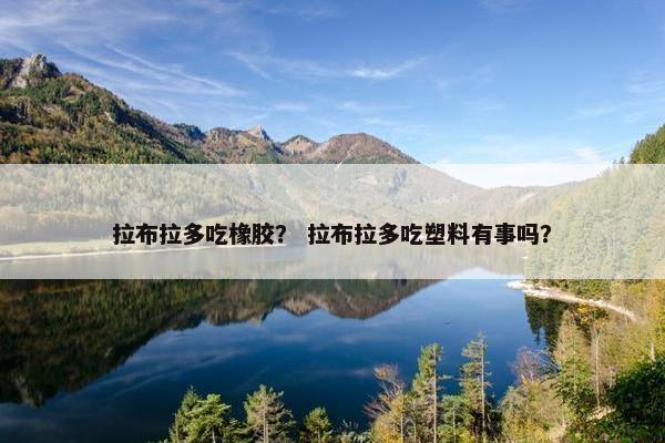 拉布拉多吃橡胶？ 拉布拉多吃塑料有事吗？
