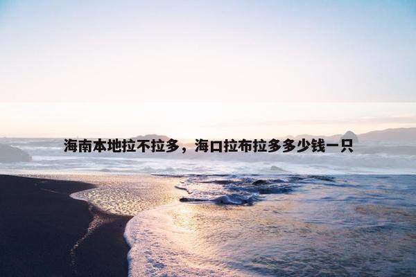 海南本地拉不拉多，海口拉布拉多多少钱一只