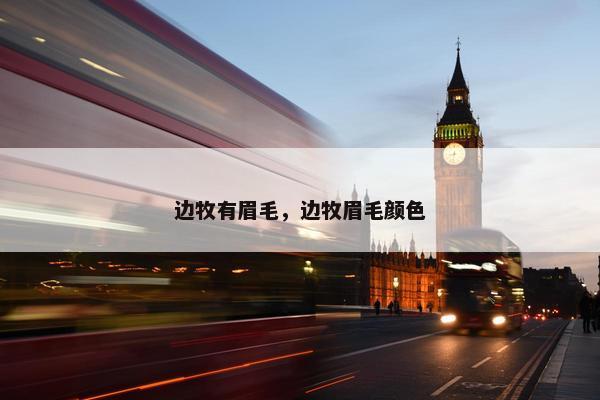 边牧有眉毛，边牧眉毛颜色