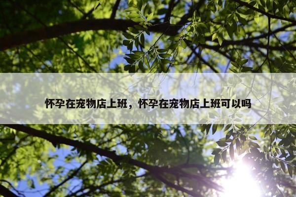 怀孕在宠物店上班，怀孕在宠物店上班可以吗
