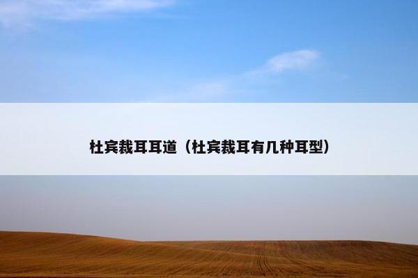 杜宾裁耳耳道（杜宾裁耳有几种耳型）
