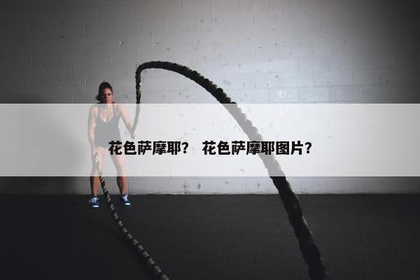 花色萨摩耶？ 花色萨摩耶图片？