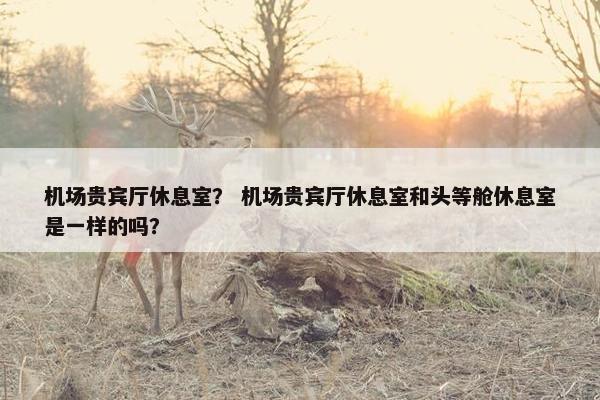 机场贵宾厅休息室？ 机场贵宾厅休息室和头等舱休息室是一样的吗？