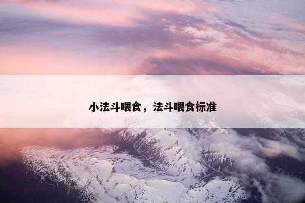 小法斗喂食，法斗喂食标准