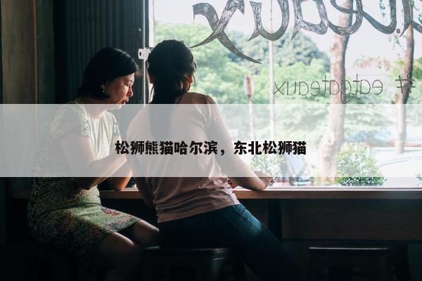 松狮熊猫哈尔滨，东北松狮猫