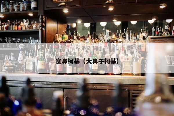 宽鼻柯基（大鼻子柯基）