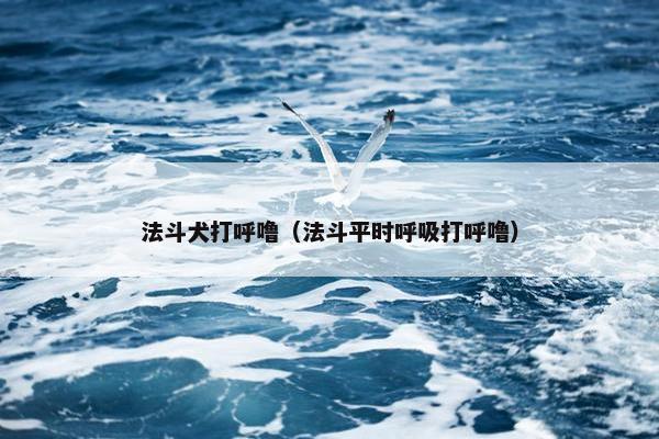 法斗犬打呼噜（法斗平时呼吸打呼噜）