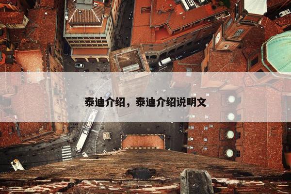 泰迪介绍，泰迪介绍说明文