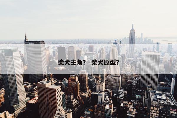 柴犬主角？ 柴犬原型？