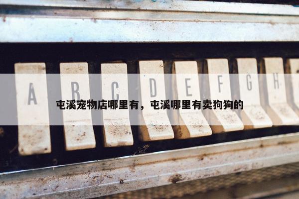 合肥