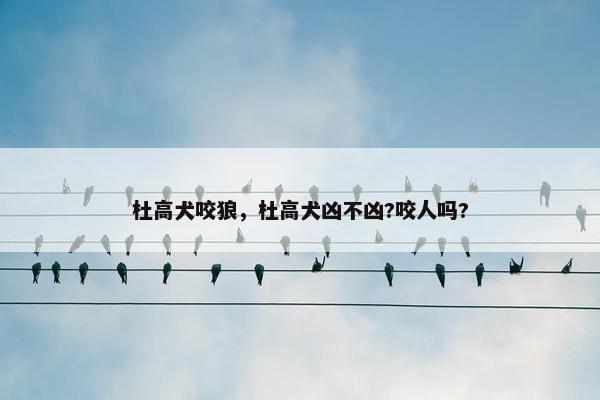 杜高犬咬狼，杜高犬凶不凶?咬人吗?
