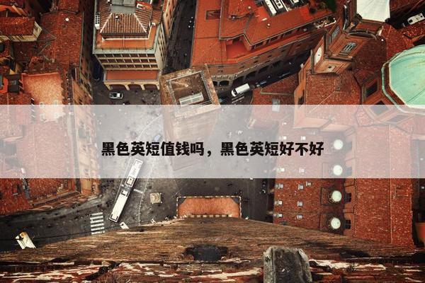 黑色英短值钱吗，黑色英短好不好