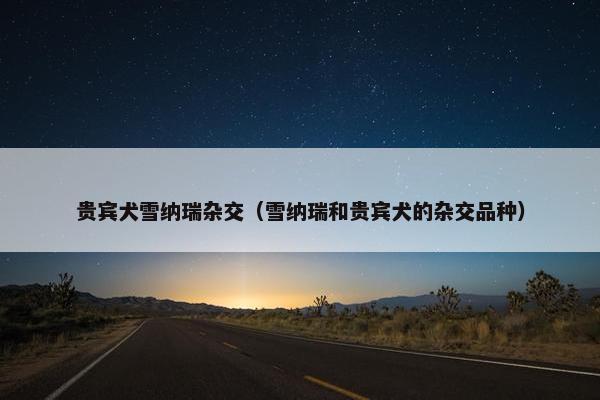 贵宾犬雪纳瑞杂交（雪纳瑞和贵宾犬的杂交品种）