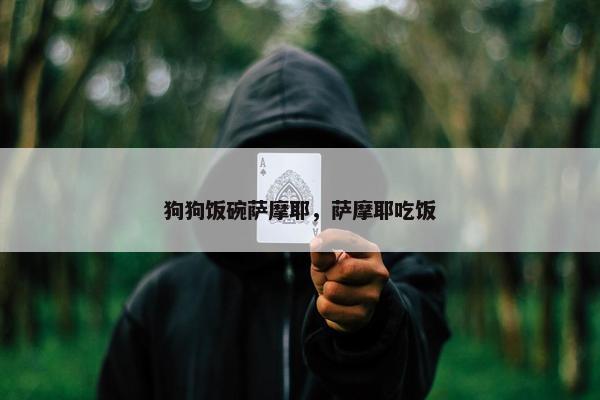 狗狗饭碗萨摩耶，萨摩耶吃饭