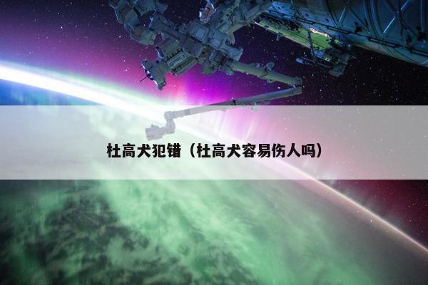 杜高犬犯错（杜高犬容易伤人吗）