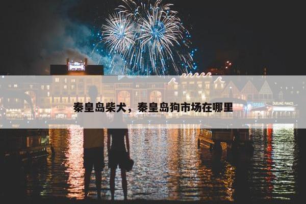 秦皇岛柴犬，秦皇岛狗市场在哪里