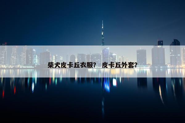 柴犬皮卡丘衣服？ 皮卡丘外套？