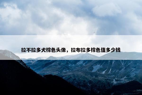 特点