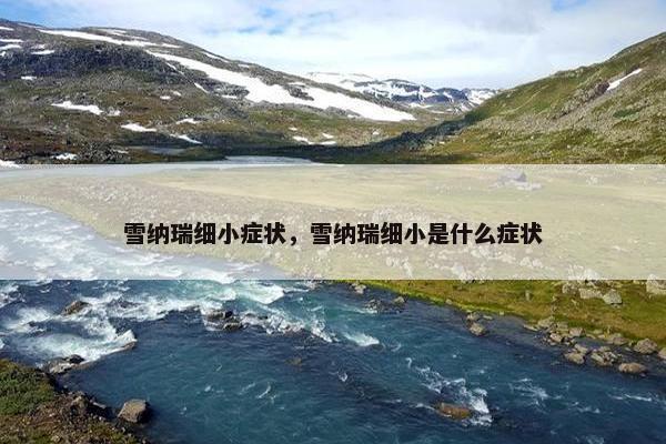 雪纳瑞细小症状，雪纳瑞细小是什么症状