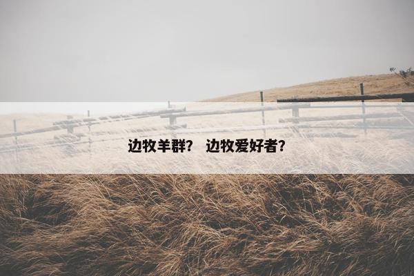 边牧羊群？ 边牧爱好者？