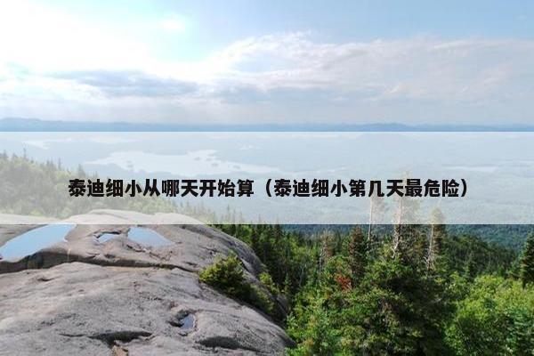 泰迪细小从哪天开始算（泰迪细小第几天最危险）